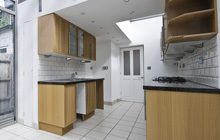 Cowbridge kitchen extension leads